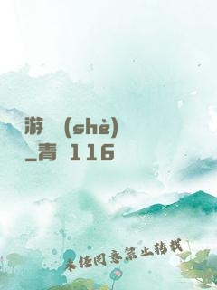 頭號游戲設(shè)計師