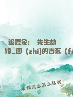 頭號追妻令：陸先生劫個婚