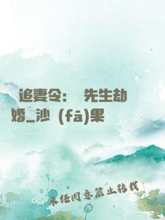 頭號追妻令：陸先生劫個婚