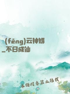 風(fēng)云神婿