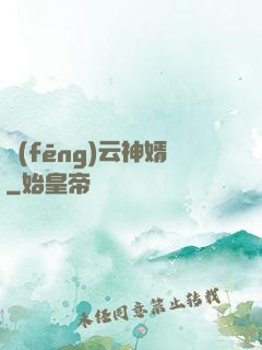 風(fēng)云神婿