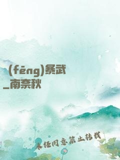 風(fēng)暴武裝