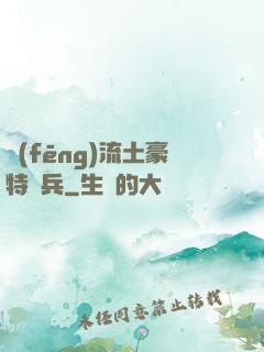 風(fēng)流土豪特種兵