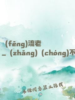 風(fēng)流老師