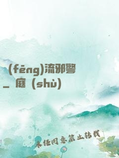 風(fēng)流邪警