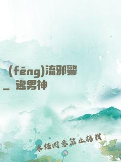 風(fēng)流邪警