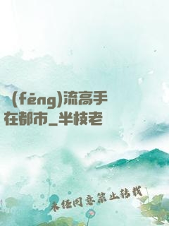 風(fēng)流高手在都市