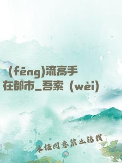 風(fēng)流高手在都市