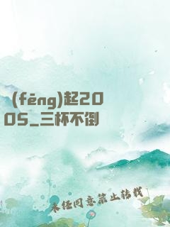 風(fēng)起2005