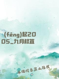 風(fēng)起2005