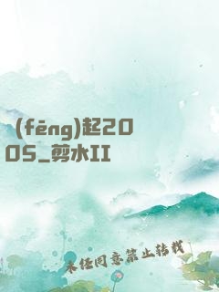 風(fēng)起2005