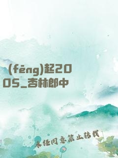 風(fēng)起2005