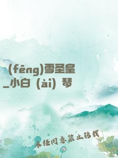 風(fēng)雪圣皇