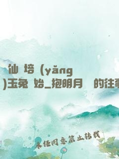 飛仙從培養(yǎng)玉兔開始