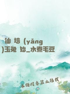 飛仙從培養(yǎng)玉兔開始