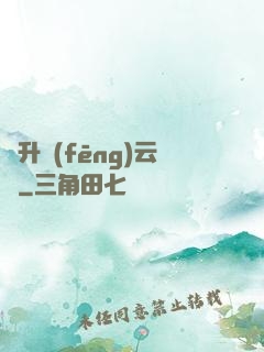飛升風(fēng)云錄