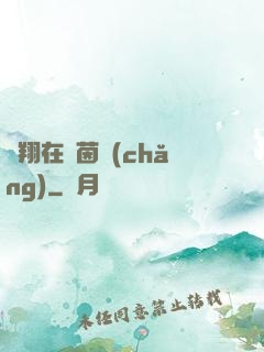飛翔在綠茵場(chǎng)