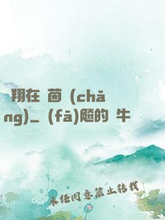 飛翔在綠茵場(chǎng)