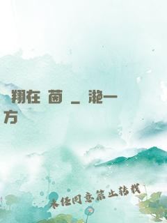 飛翔在綠茵場