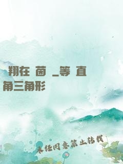 飛翔在綠茵場
