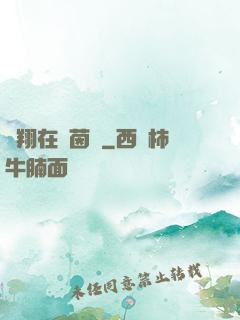 飛翔在綠茵場