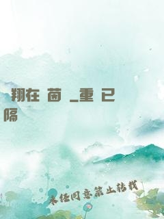 飛翔在綠茵場