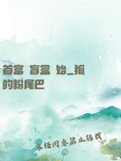 首富從盲盒開始