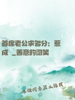 首席老公求名分：惹愛成災