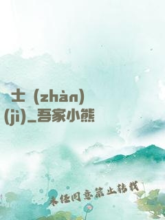 騎士戰(zhàn)紀(jì)