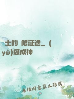 騎士的無限征途