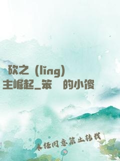 騎砍之領(lǐng)主崛起