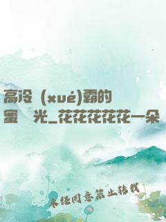 高冷學(xué)霸的蜜戀時光