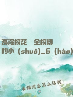高冷?；S為全校精靈的小說(shuō)