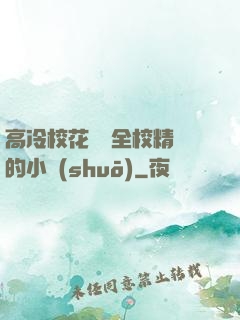 高冷?；S為全校精靈的小說(shuō)