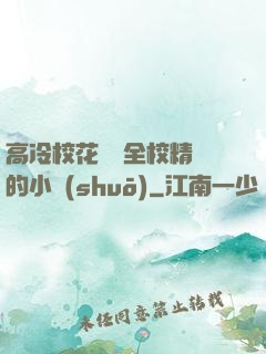 高冷?；S為全校精靈的小說(shuō)