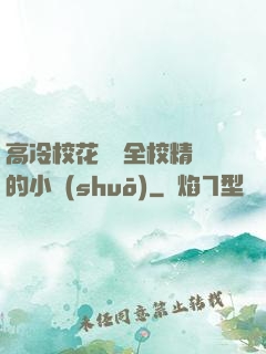 高冷?；S為全校精靈的小說(shuō)