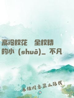 高冷?；S為全校精靈的小說(shuō)