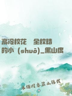 高冷?；S為全校精靈的小說(shuō)