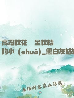 高冷?；S為全校精靈的小說(shuō)