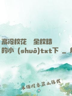 高冷?；S為全校精靈的小說(shuō)txt下載