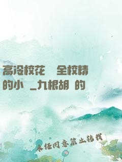 高冷?；S為全校精靈的小說