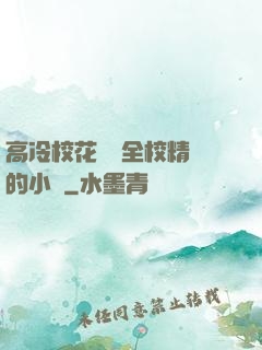 高冷?；S為全校精靈的小說