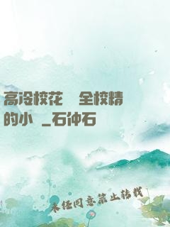 高冷?；S為全校精靈的小說