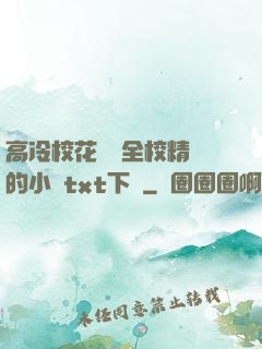 高冷?；S為全校精靈的小說txt下載
