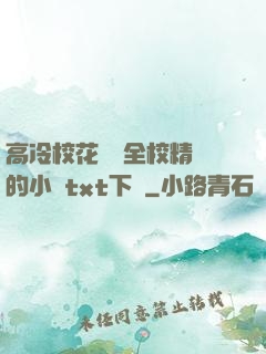 高冷?；S為全校精靈的小說txt下載
