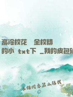 高冷?；S為全校精靈的小說txt下載