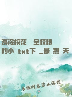 高冷?；S為全校精靈的小說txt下載