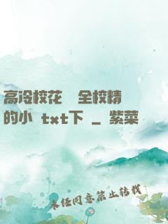 高冷?；S為全校精靈的小說txt下載