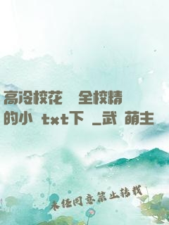 高冷?；S為全校精靈的小說txt下載