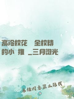 高冷?；S為全校精靈的小說推薦